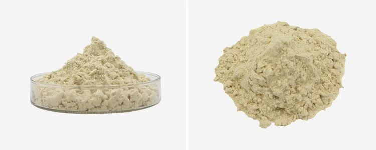 Bromelain Powder Bulk 2