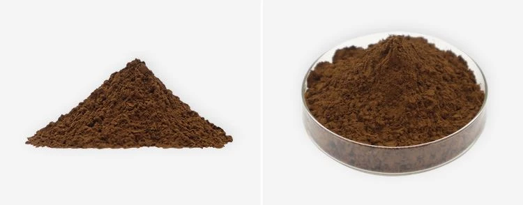 Reishi Extract Powder 2 Reishi Extract Powder 2