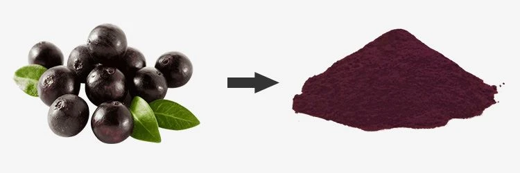 Acai Juice Powder 1