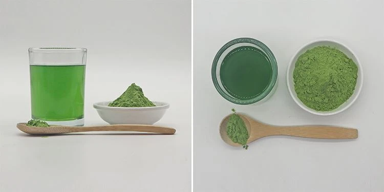 Barley Grass Juice Powder (2)