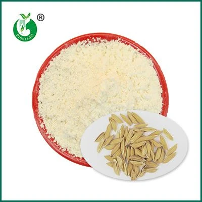 Gamma Oryzanol bột