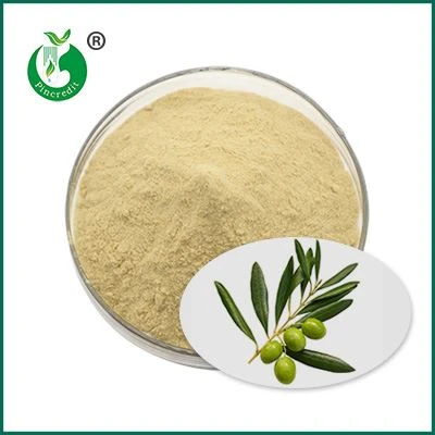 Oleuropein Powder Oleuropein Powder