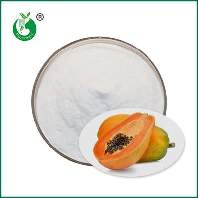 bột papain hữu cơ