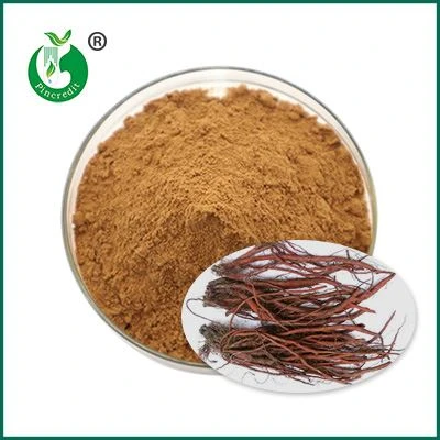 Axit salvianolic B bột