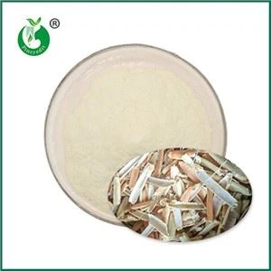 Bột Chitosan tự nhiên