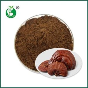 Tác dụng và chống chỉ định của bột bào tử nấm linh chi