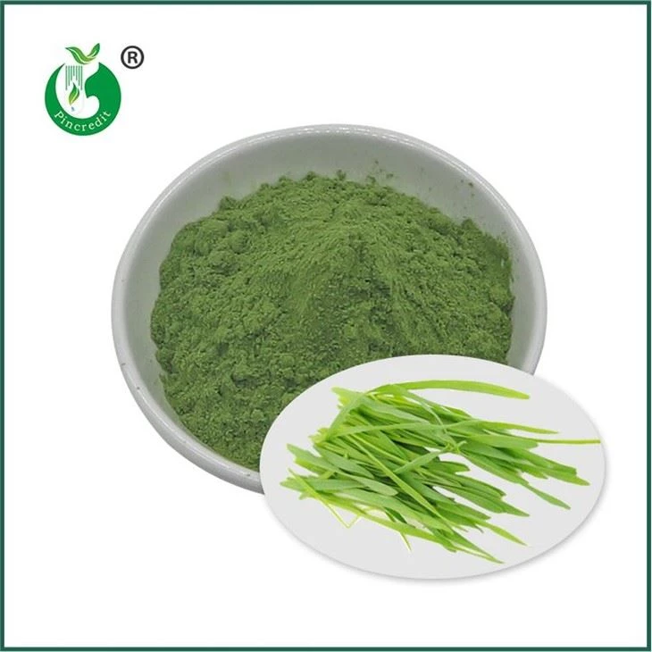Bột nước ép cỏ lúa mạch