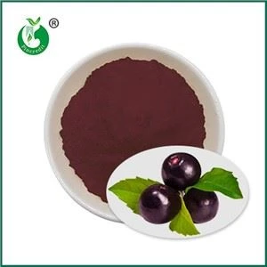 Bột nước ép Acai Berry