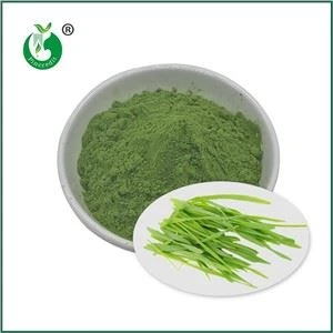Bột nước ép cỏ lúa mạch