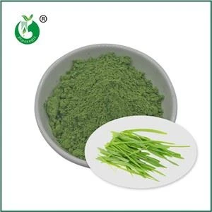 Bột cỏ lúa mạch