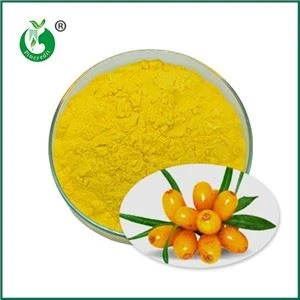 Bột nước ép Seabuckthorn Tính chất, Công dụng và Quy trình sản xuất