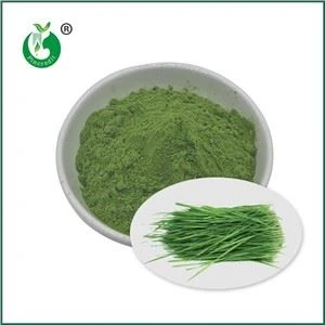 Bột nước ép cỏ lúa mì