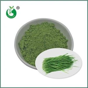 Bột cỏ lúa mì