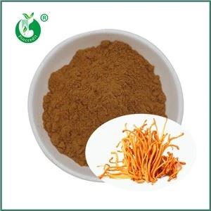 Chiết xuất thảo dược