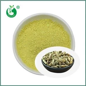 Bột Kaempferol bán buôn