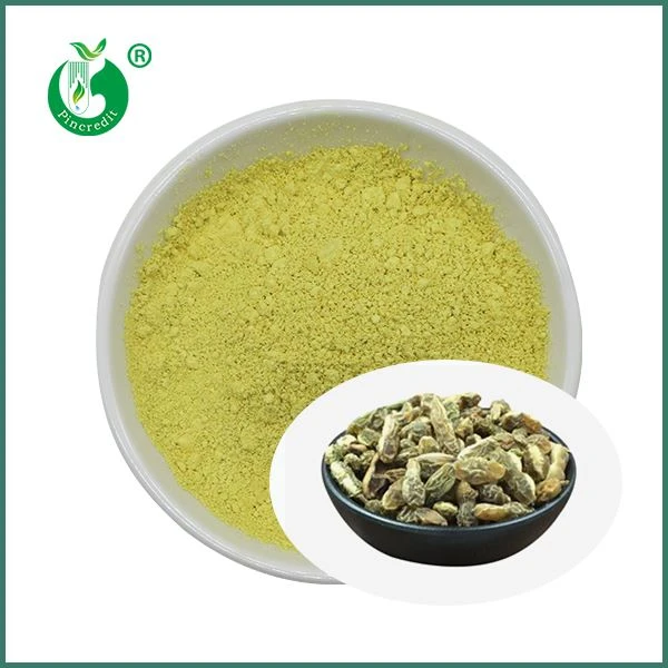 Bột Kaempferol bán buôn