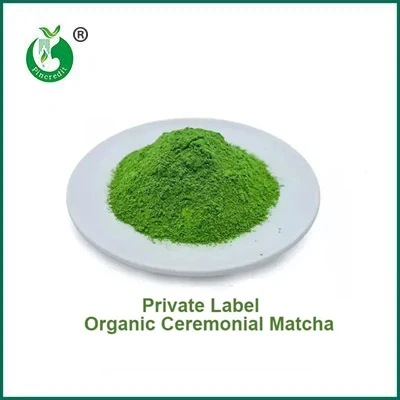 Sự khác biệt giữa bột Matcha và bột trà xanh là gì?