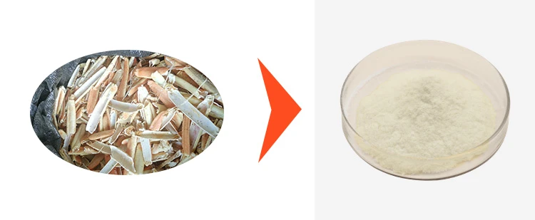 Chitosan 1 Chitosan 1