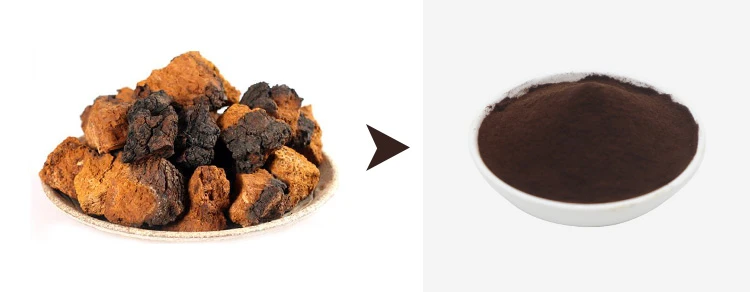 chaga extract