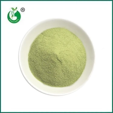 SẢN PHẨM MỚI: Bột Matcha Latte