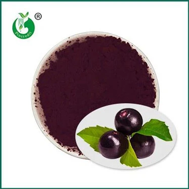 Acai nguyên chất có tốt cho bạn không?