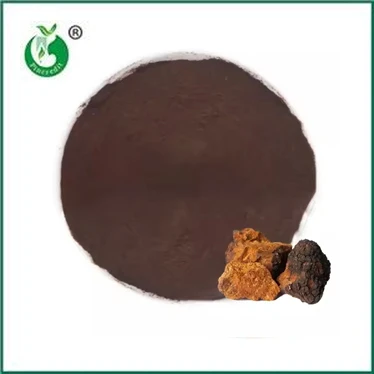 Lợi ích và công dụng của bột chiết xuất Chaga