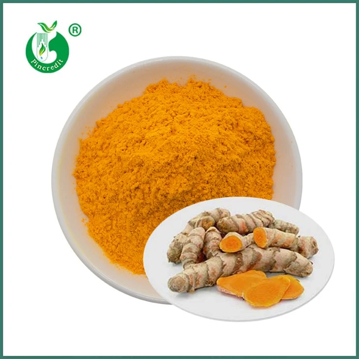 Bột chiết xuất Curcumin