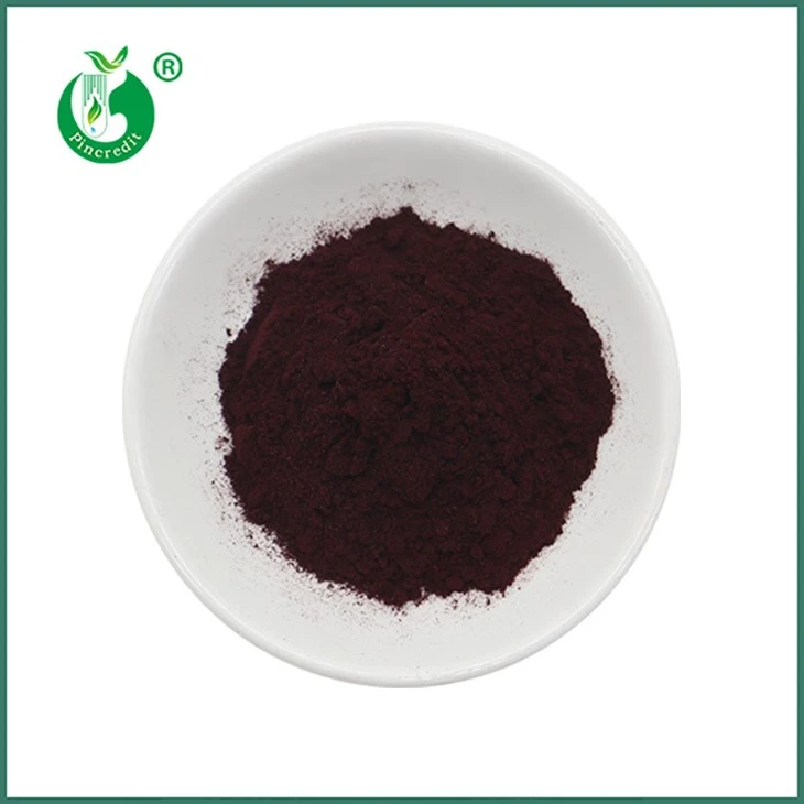 Chiết xuất Haematococcus Pluvialis Bột Astaxanthin