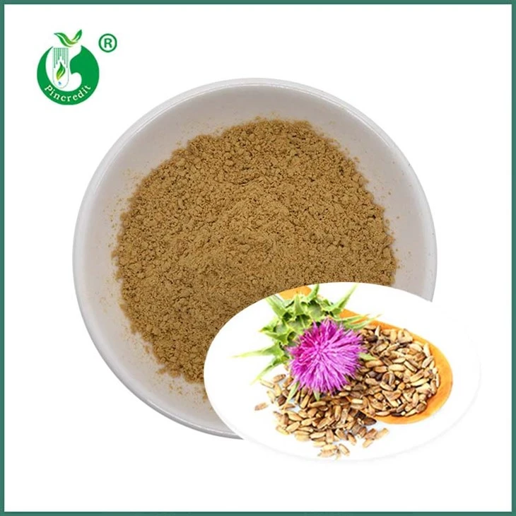 Chiết xuất hạt cây kế sữa Silymarin Silybins
