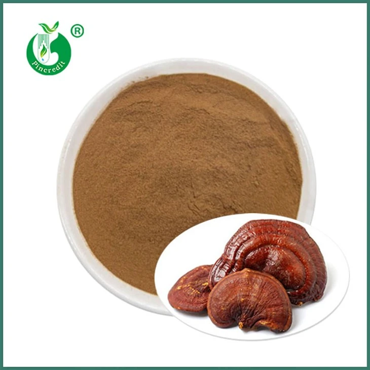Bột chiết xuất linh chi
