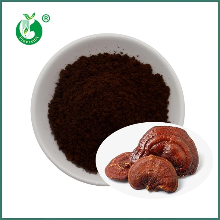 Bột bào tử Reishi