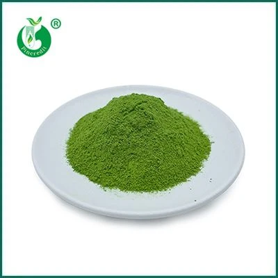 Bột trà xanh Matcha