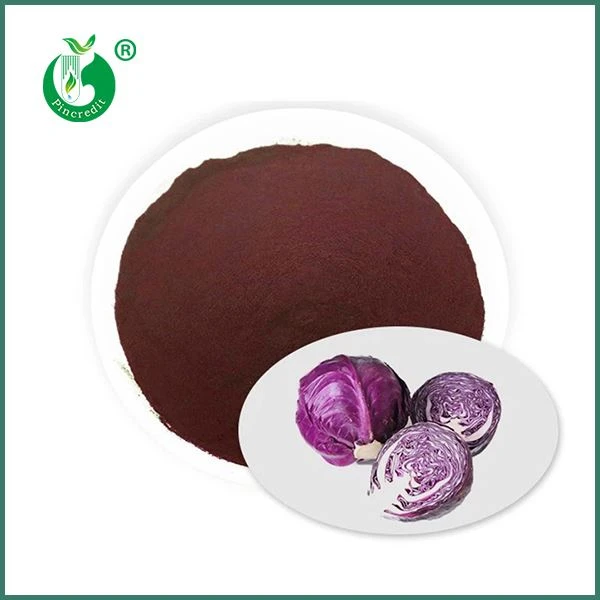 Bột nước ép bắp cải đỏ